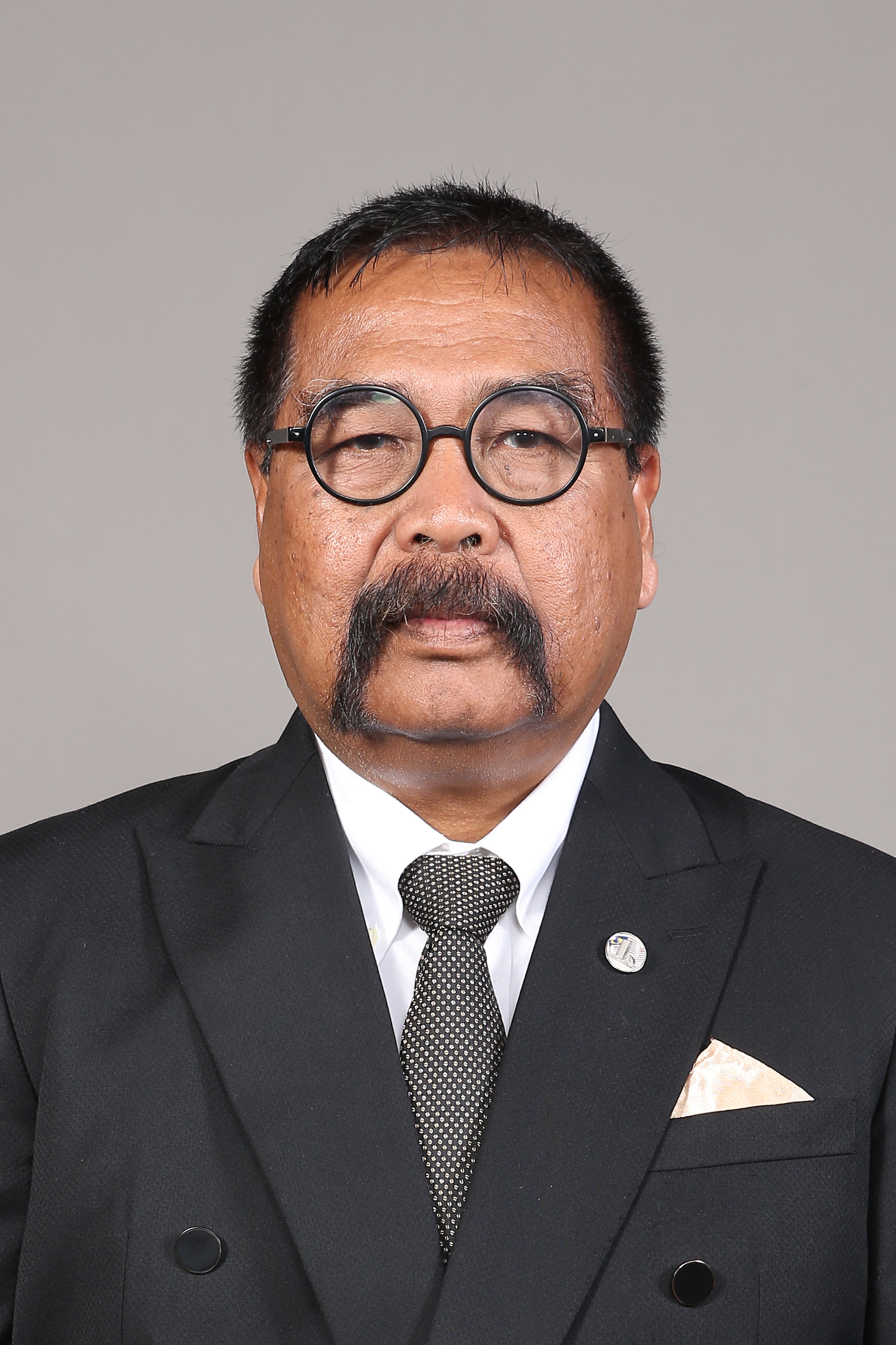 Photo - YB Dato' Dr. Ramli Bin Dato' Mohd Nor - Click to open the Member of Parliament profile