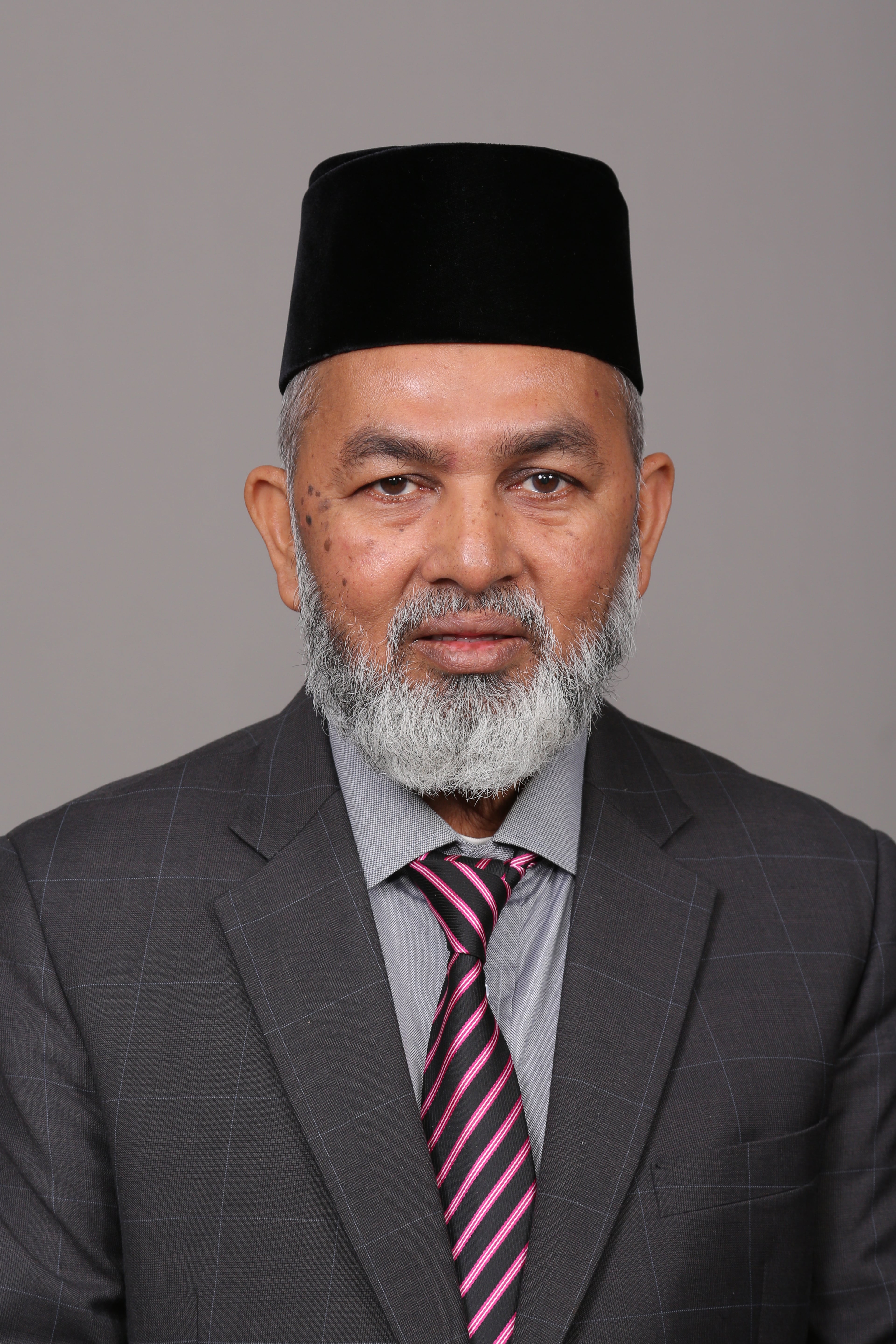 Photo - YB Dato' Syed Abu Hussin Bin Hafiz Syed Abdul Fasal - Click to open the Member of Parliament profile