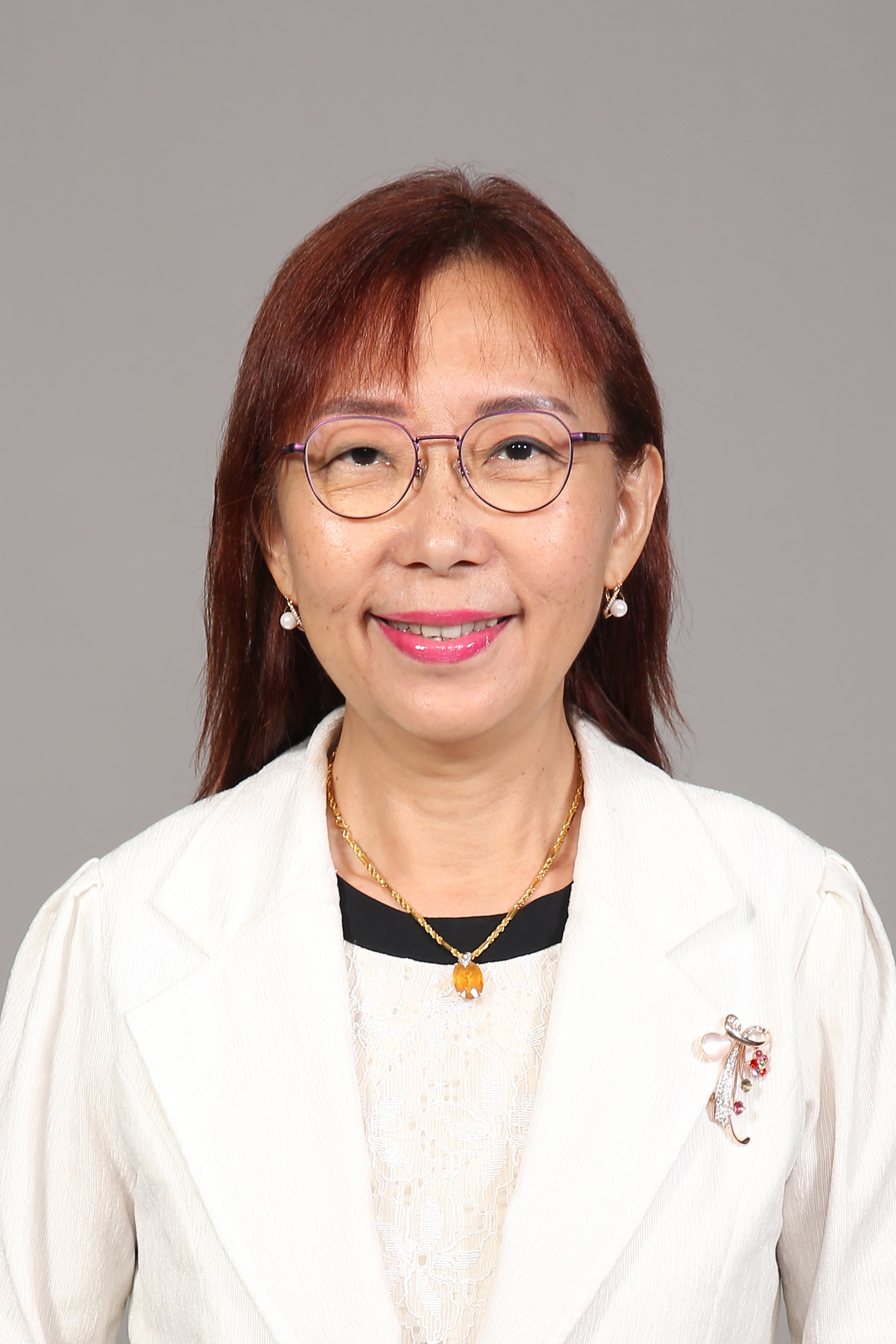 Photo - YB Puan Teresa Kok Suh Sim - Click to open the Member of Parliament profile